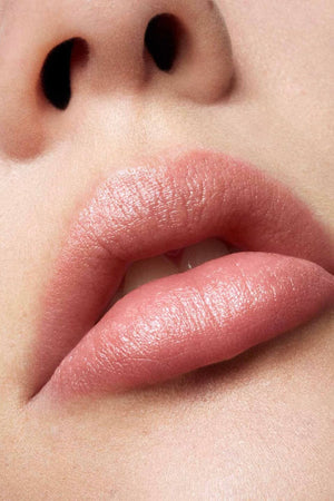 BAIOBAY Organic Tinted Lip Balm 15ml