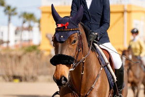 STG EQUESTRIAN by Sandra Riehle - Stirnband black/cinnamon