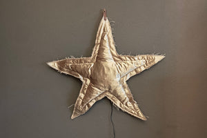 ROSE VELOUR Christmas Star "Velour"