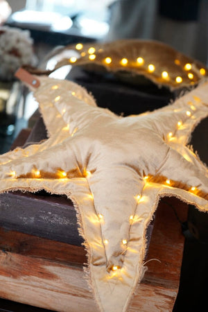 ROSE VELOUR Christmas Star "Velour"