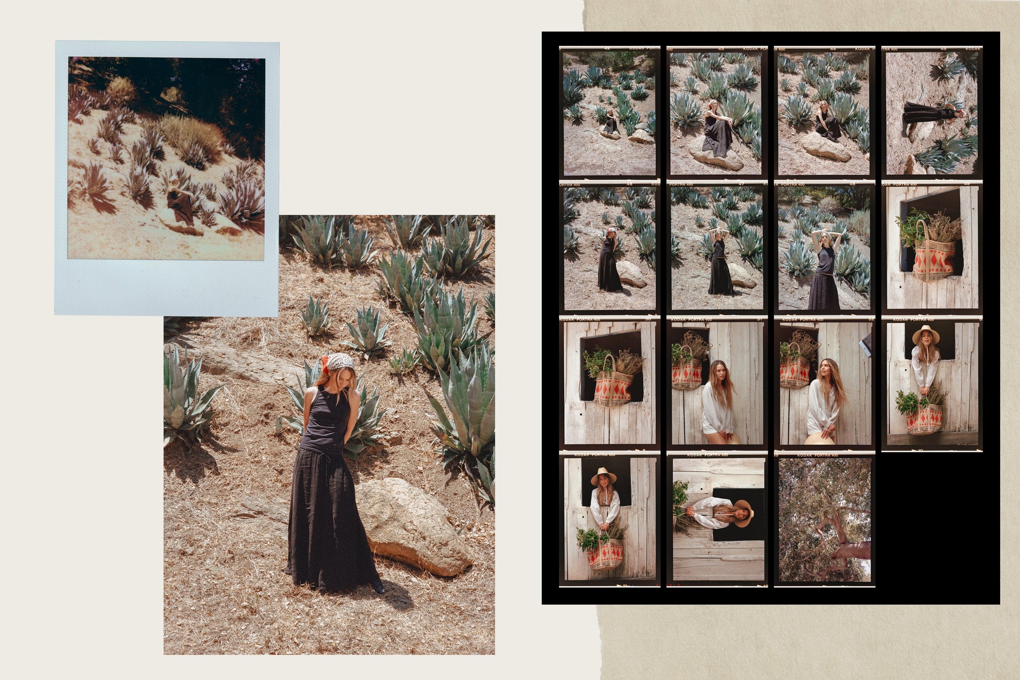 Velvet by Graham and Spencer