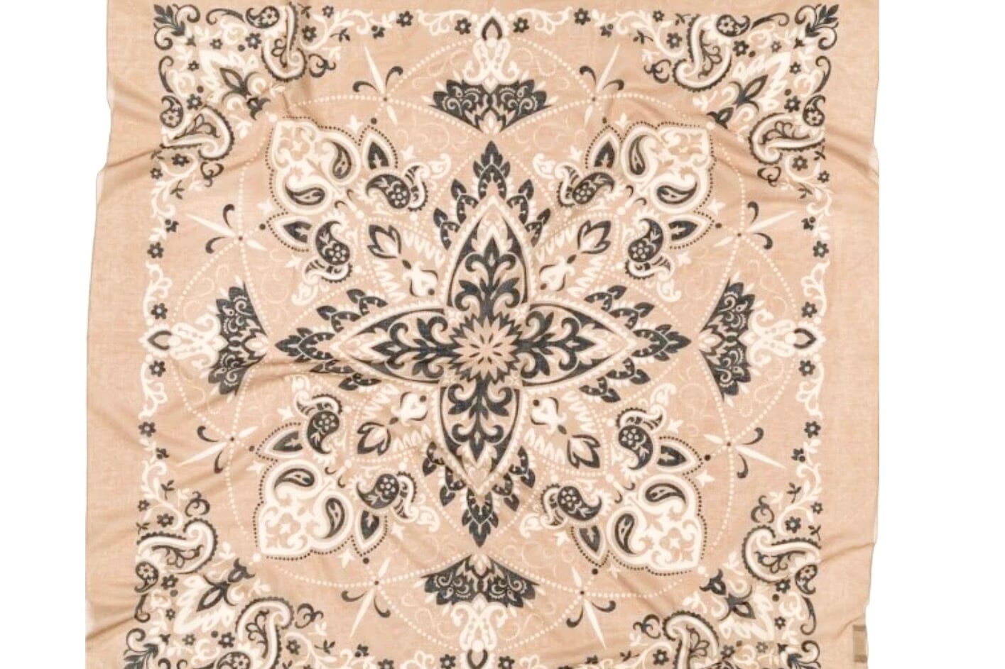 MAISON LECOMTE FLAMANT Wool/Cashmere "Scarf" beige