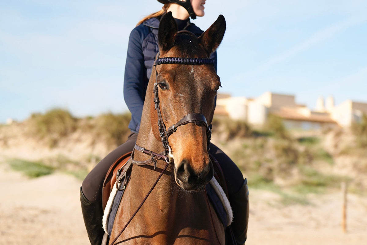 STG EQUESTRIAN by Sandra Riehle - Stirnband darknavy/navy