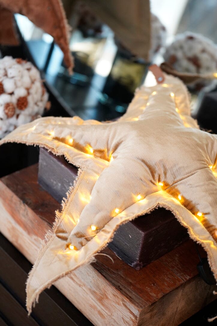 ROSE VELOUR Christmas Star "Velour"