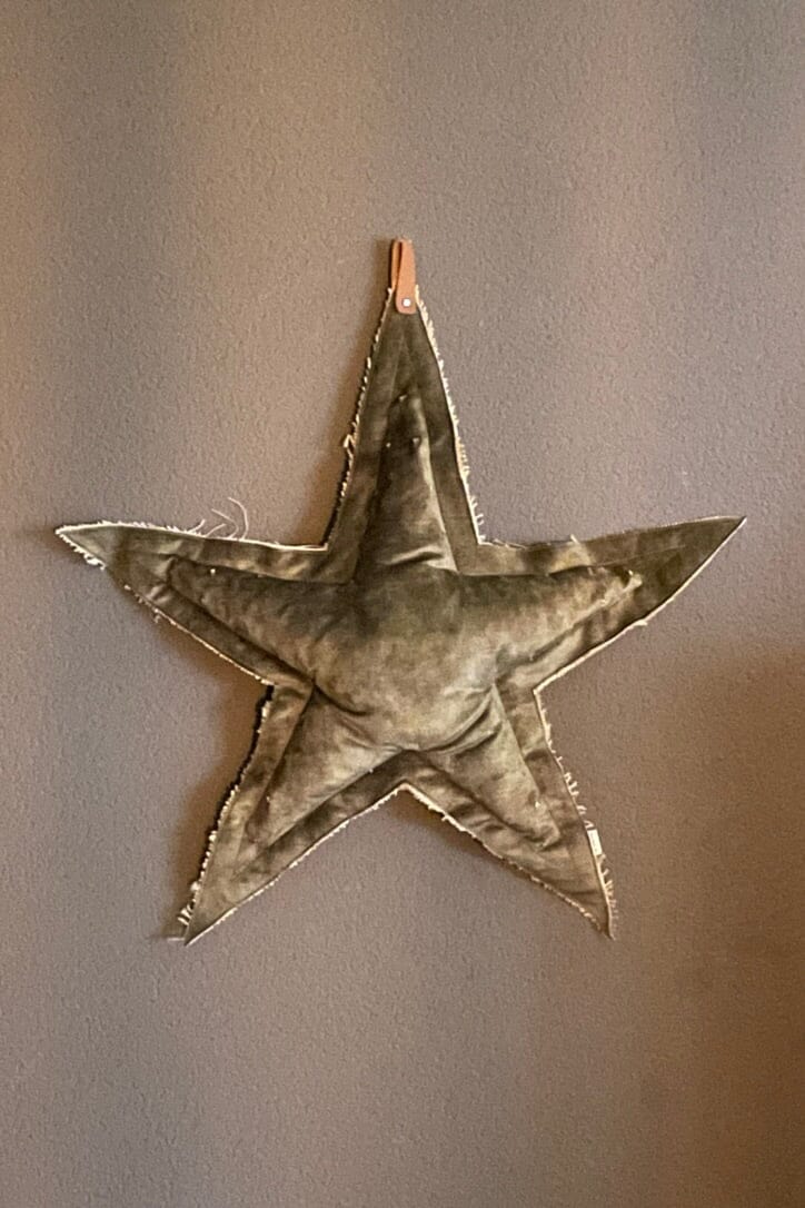 ROSE VELOUR Christmas Star "Velour"