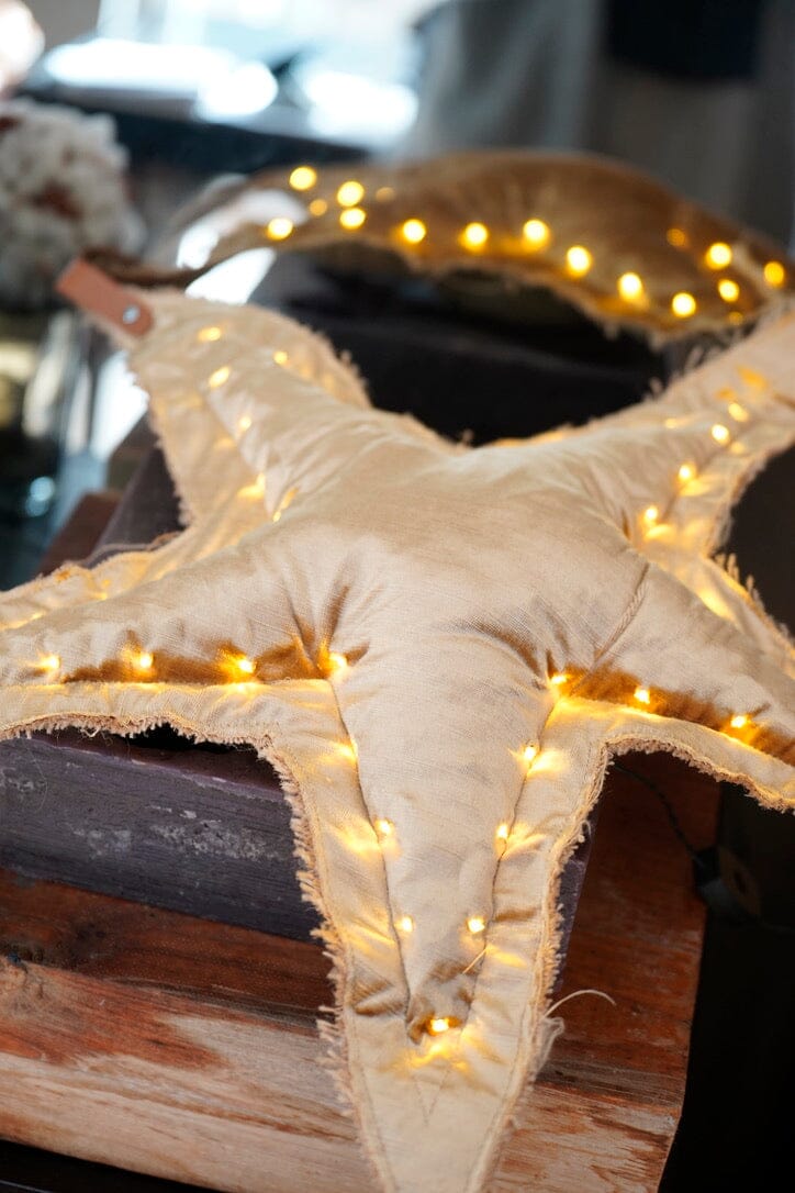 ROSE VELOUR Christmas Star "Velour"