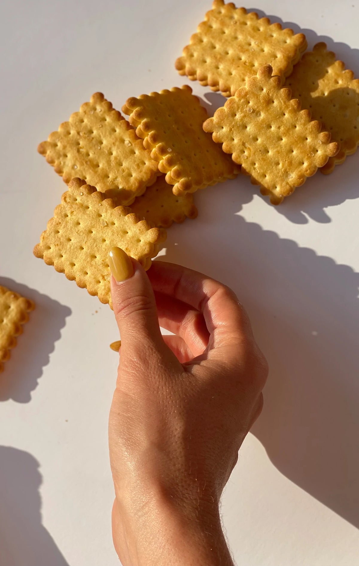 KAROLIN VAN LOON "17" jaune mimosa