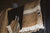 LIBECO Leinen - Gästehandtuch oder Tischset "BRUGES" 35x50 oder 55x65