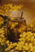 GAS BIJOUX Perfume "Ensoleille Moi"